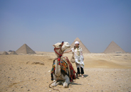 【エジプト】　ピラッミドをラクダで散策